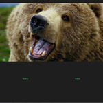 bLazy - A lazy loading and multi-serving image script