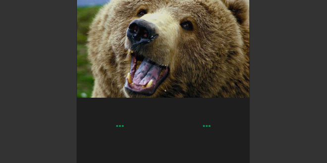 bLazy - A lazy loading and multi-serving image script