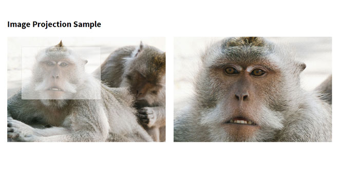 Jquery Image Projection
