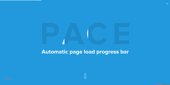Pace - Automatic page load progress bar