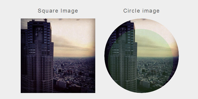 Rippler - Spreads like a wave in touch or click