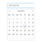 Datepicker