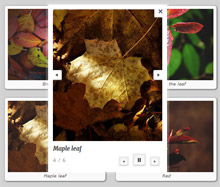Visual LightBox : Beautiful jQuery Lightbox