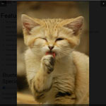 ABigImage - Viewing big versions of images