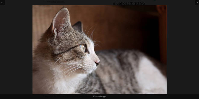 ABigImage - Viewing big versions of images