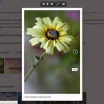 FancyBox - add zooming functionality for images