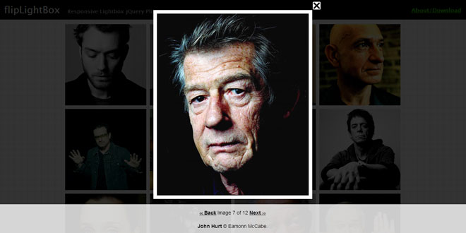 FlipLightBox - Responsive Lightbox jQuery Plugin