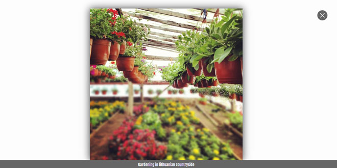 Image Lightbox