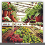 Image Lightbox