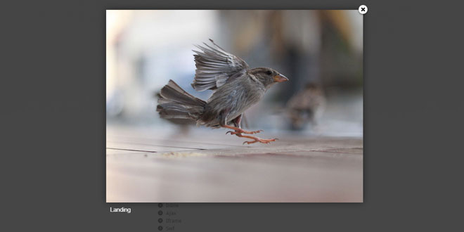 Lightcase - Smart and flexible Lightbox Plugin
