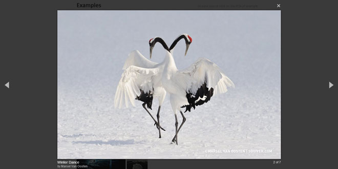 Magnific Popup - responsive lightbox & dialog script