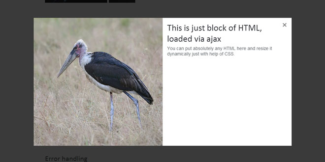 Magnific Popup - responsive lightbox & dialog script