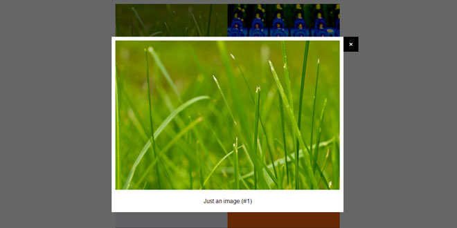 jQuery Poptrox - Popup galleries
