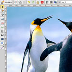 SVG-edit -  JavaScript-driven SVG drawing editor