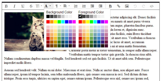 Froala Editor - jQuery WYSIWYG Rich Text Editor Plugin