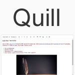 Quill Rich Text Editor