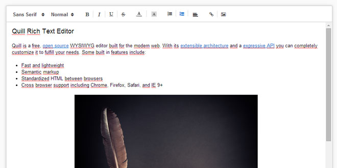 Quill Rich Text Editor