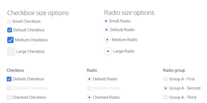 checkBo - Custom Checkbox and Radio