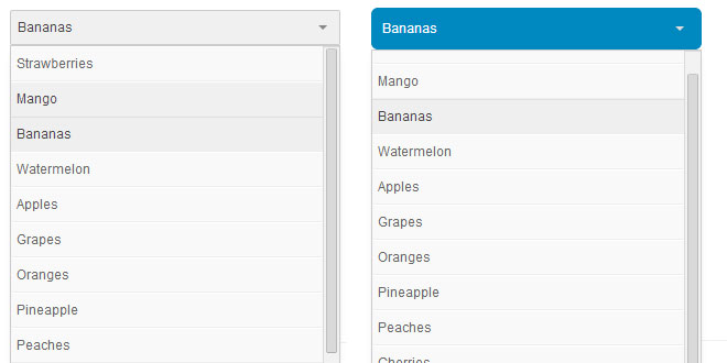 jQuery Selectric – HTML Selects Customization