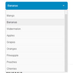 jQuery Selectric – HTML Selects Customization