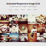 Animated Responsive Image Grid