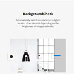 Background Check