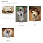 isotopeSearchFilter jquery plugin