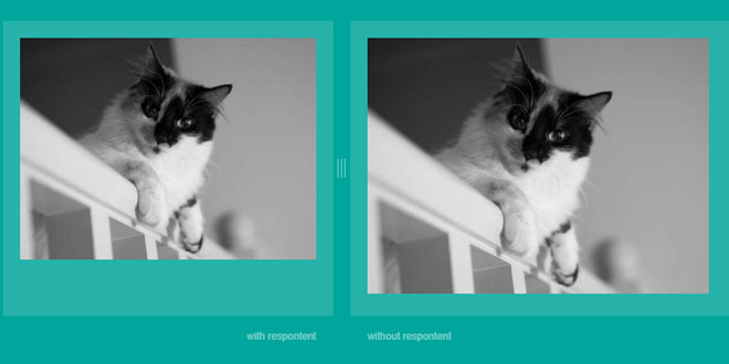 Respontent - Automagically makes your user generated content responsive