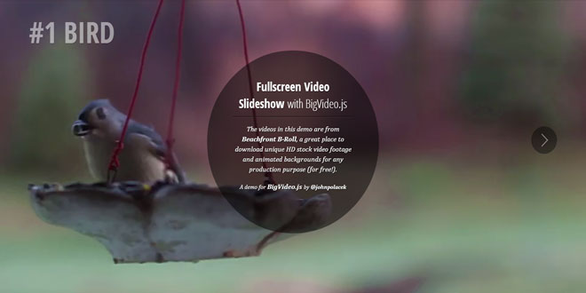 BigVideo.js - big background video