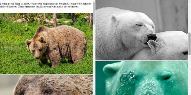 Scrollbear
