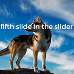 ajSlider - Image and Content jQuery Plugin