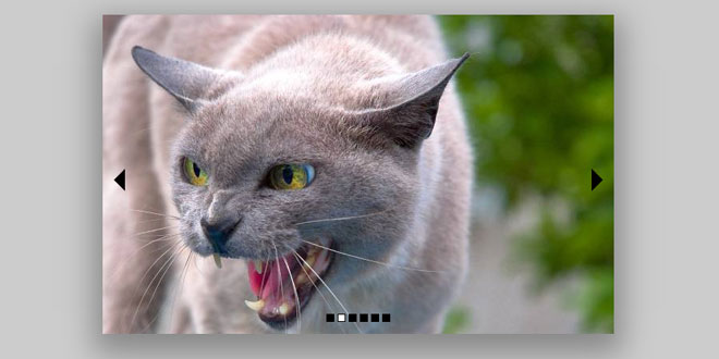 jQuery Tronsha Slider Plugin