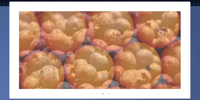 Blueberry - image slider plugin