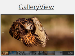 GalleryView
