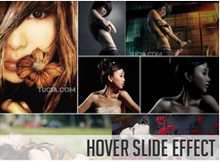 Hover Slide Effect with jQuery