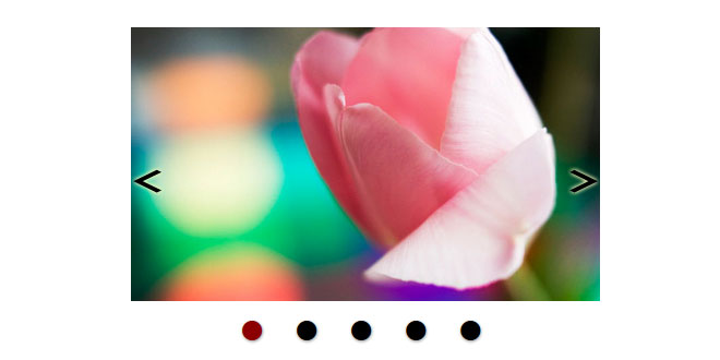 Touch Image Gallery