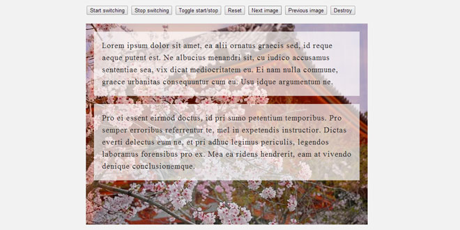 jQuery.BgSwitcher