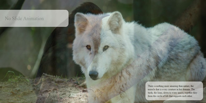 Full Page Image Slideshow