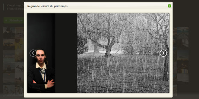 jQuery Image Gallery