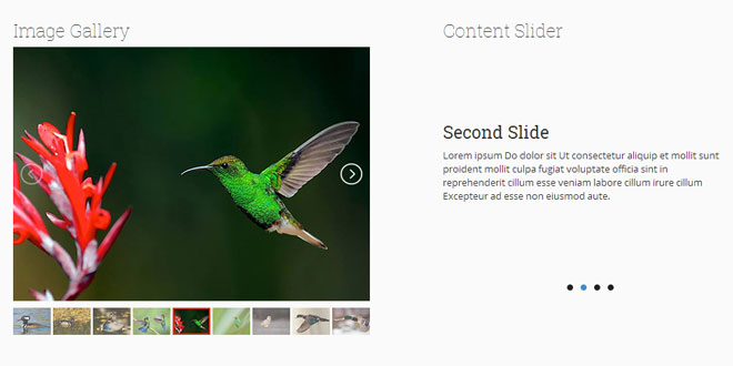 lightSlider -  A lightweight touchable responsive Content slider