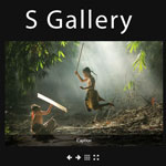 S Gallery - A Responsive jQuery Gallery