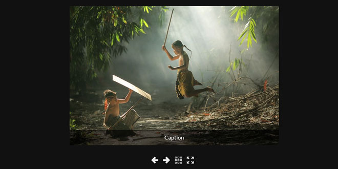 S Gallery - A Responsive jQuery Gallery