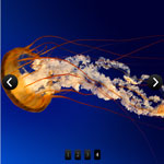 jQuery Slidefull Plugin
