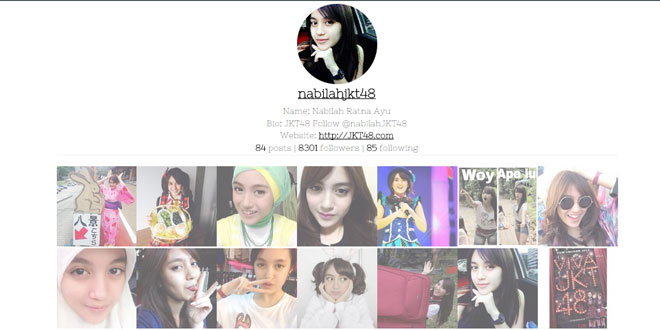 jQuery my instagram gallery