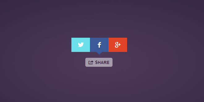 Share Button – Fast and Beautiful Social Share Buttons