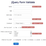 jQuery Form Validate